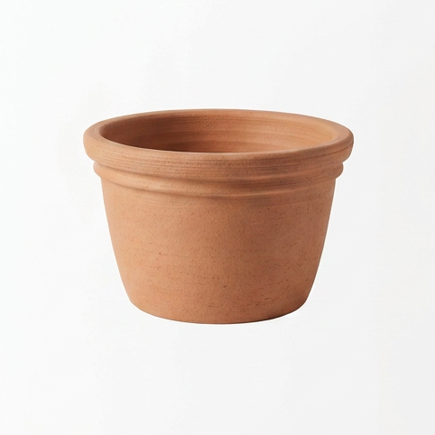 Plants & pots, generated angle