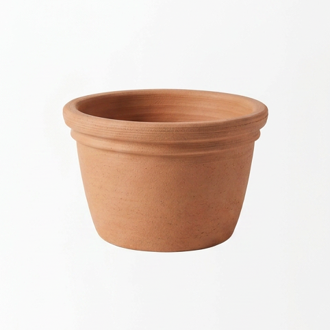 Plants & pots, generated angle