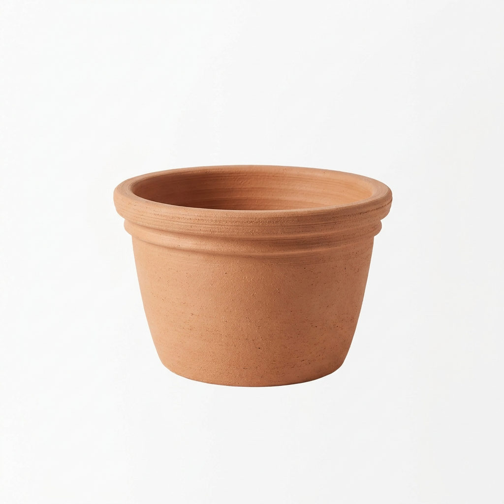 Plants & pots, original photo